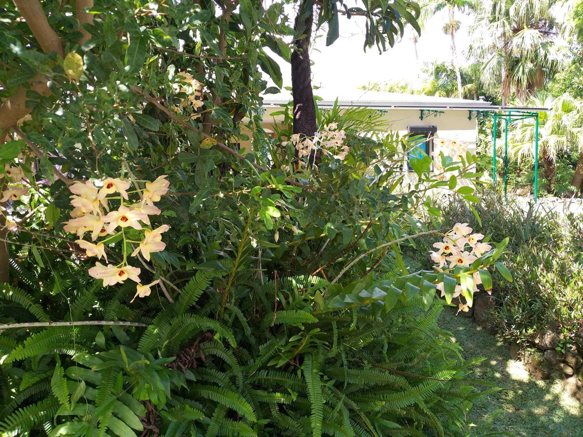 Poivre Et Citronnelle Bed & Breakfast ซานต์-อองเดร ภายนอก รูปภาพ