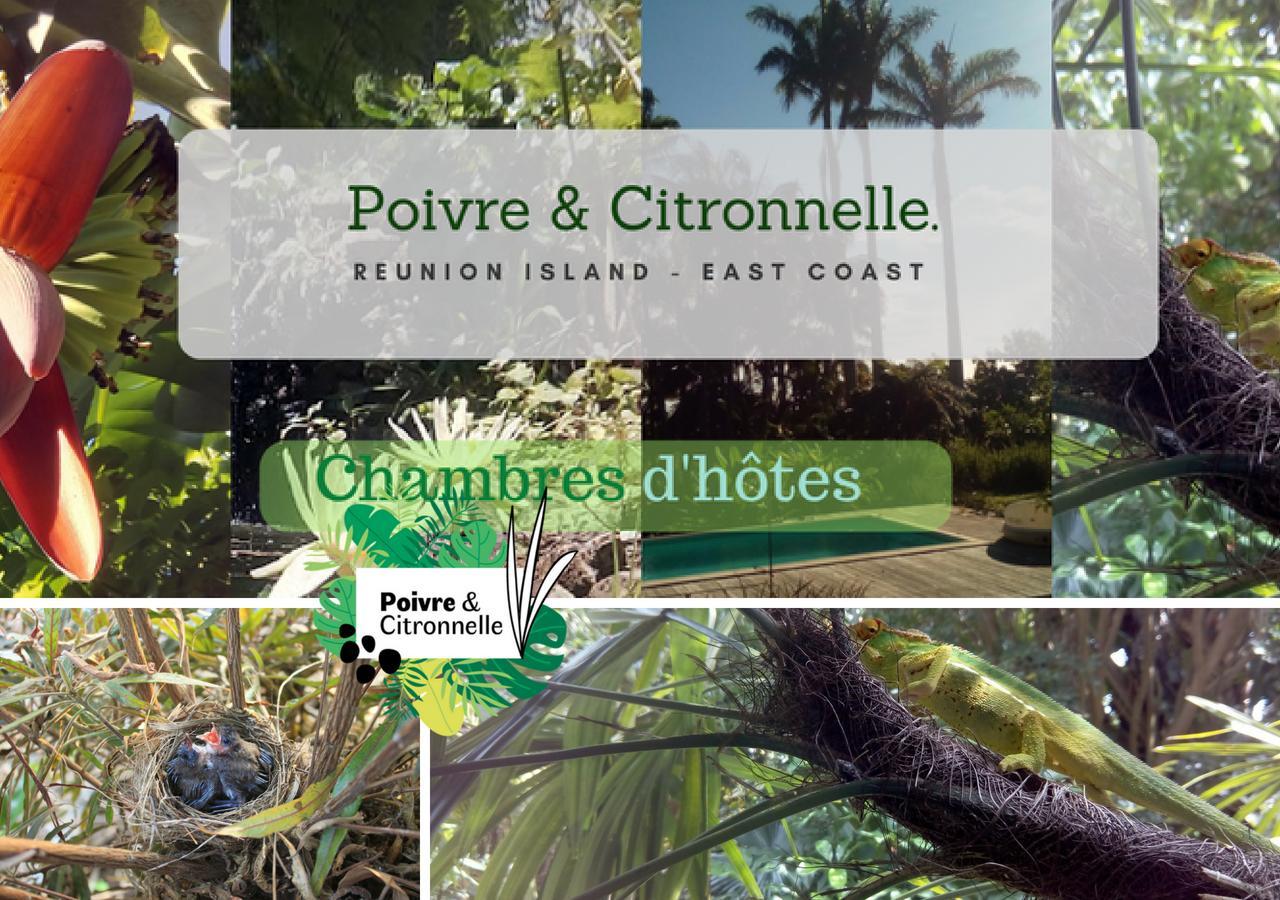 Poivre Et Citronnelle Bed & Breakfast ซานต์-อองเดร ภายนอก รูปภาพ
